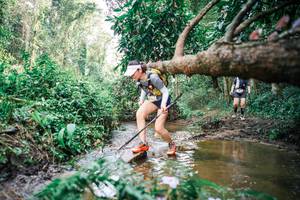 BIB: 
                            <button type="button" onclick="openModal(25518426)" class="btn btn-primary btn-sm float-right btn-popup" data-toggle="modal" data-target=".modal-high-quality">
                        <i class="fas fa-shopping-cart"></i> Add to Cart
                    </button>
                                            <button type="button" onclick="isThisMe(25518426, true)" class="btn btn-success btn-sm float-right btn-popup btn-isme hidden" data-toggle="tooltip" data-placement="bottom" title="นี่คือรูปของคุณใช่ไหม คลิกที่นี่เพื่อเอาเข้าอัลบั้ม">
                        <i class="fas fa-plus"></i> Add to album
                    </button>
                    <button type="button" onclick="isThisMe(25518426, false)" class="btn btn-warning btn-sm float-right btn-popup btn-isnotme hidden">
                        <i class="fas fa-ban"></i> Remove from album
                    </button>